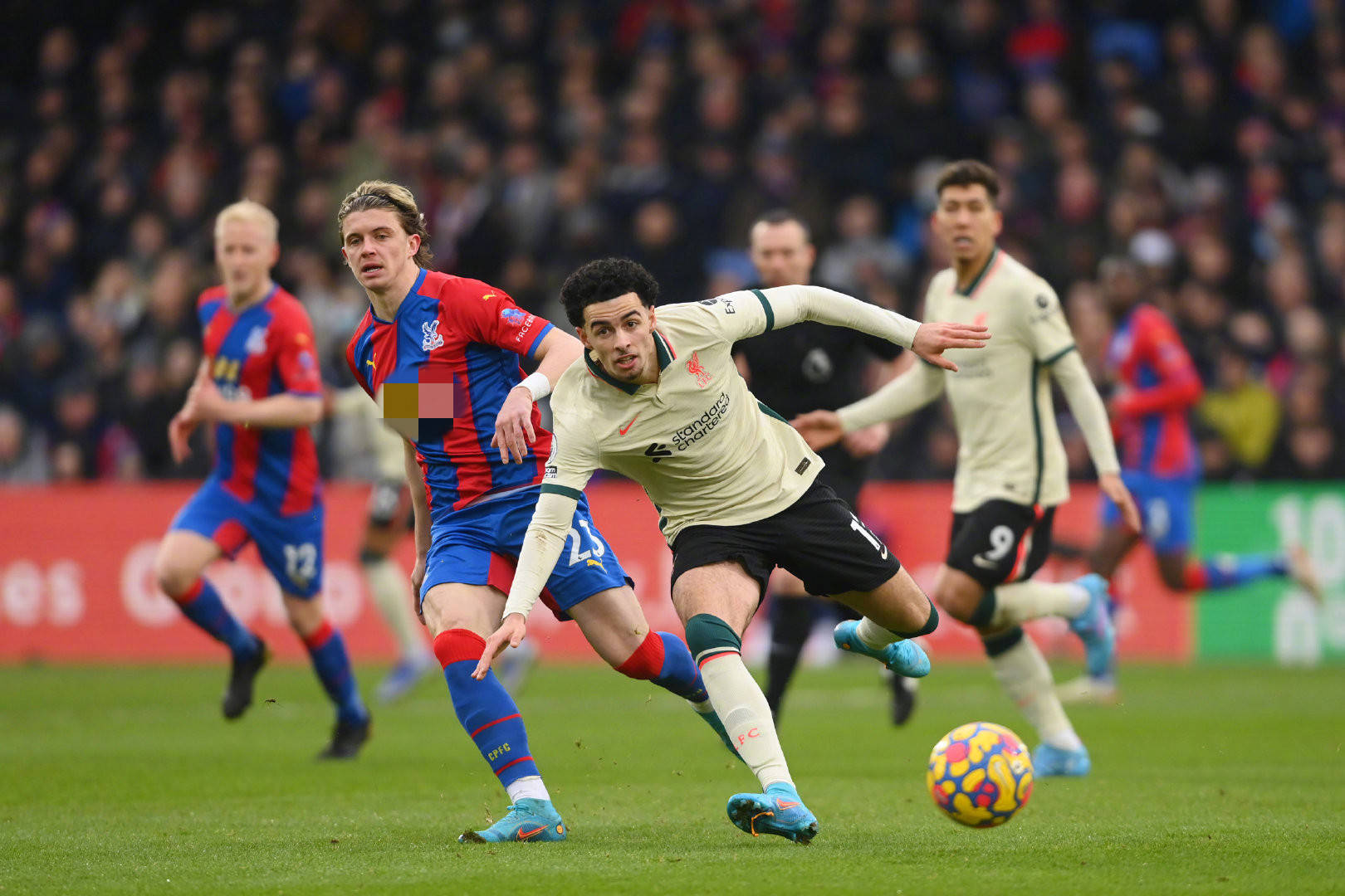 预示着他未 预示着他未